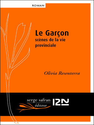 cover image of Le garçon